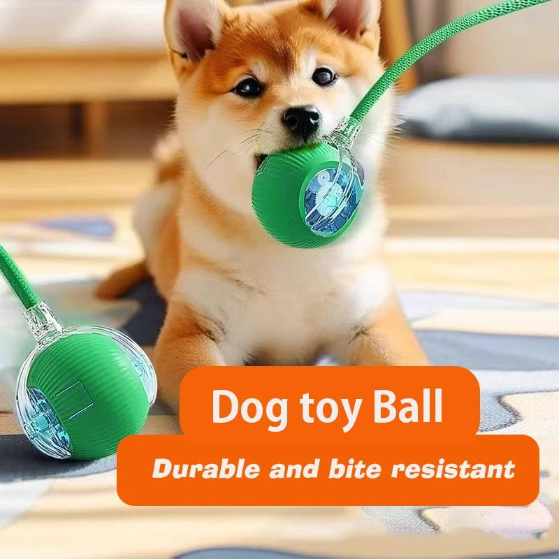 Interactive Rolling Ball Toy – USB Rechargeable Automatic Smart Ball with Obstacle Avoidance for Cat & Dogs