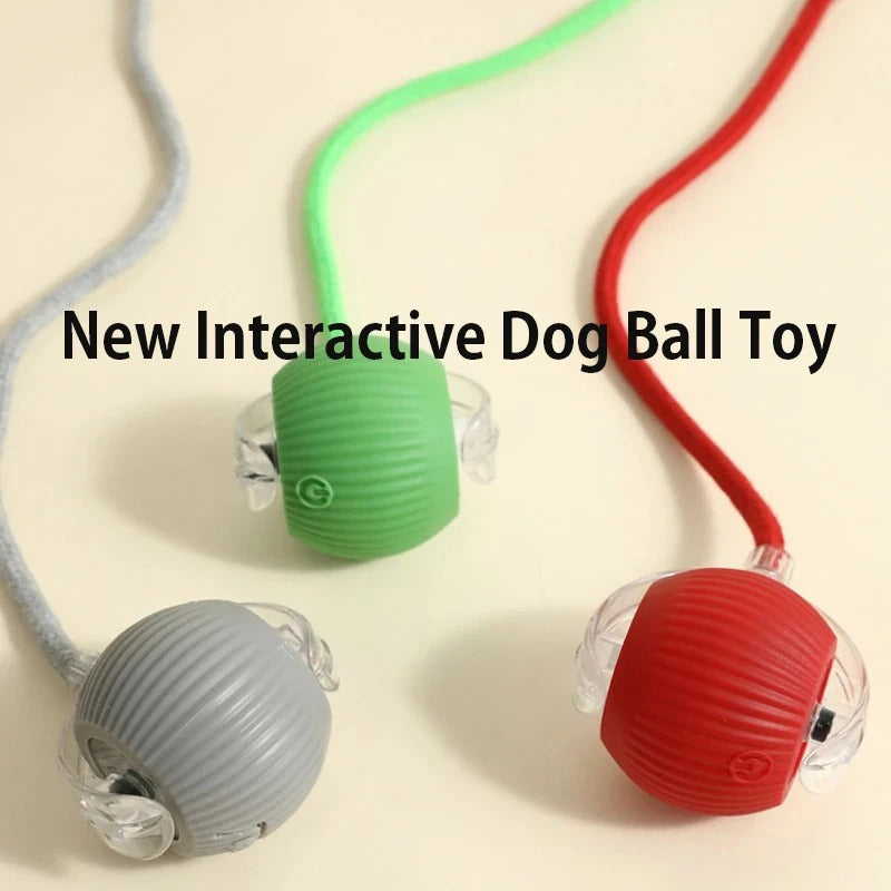 Interactive Rolling Ball Toy – USB Rechargeable Automatic Smart Ball with Obstacle Avoidance for Cat & Dogs